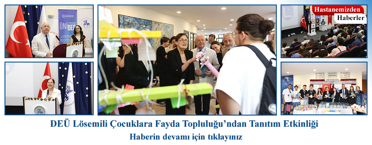 6 etkinlik
