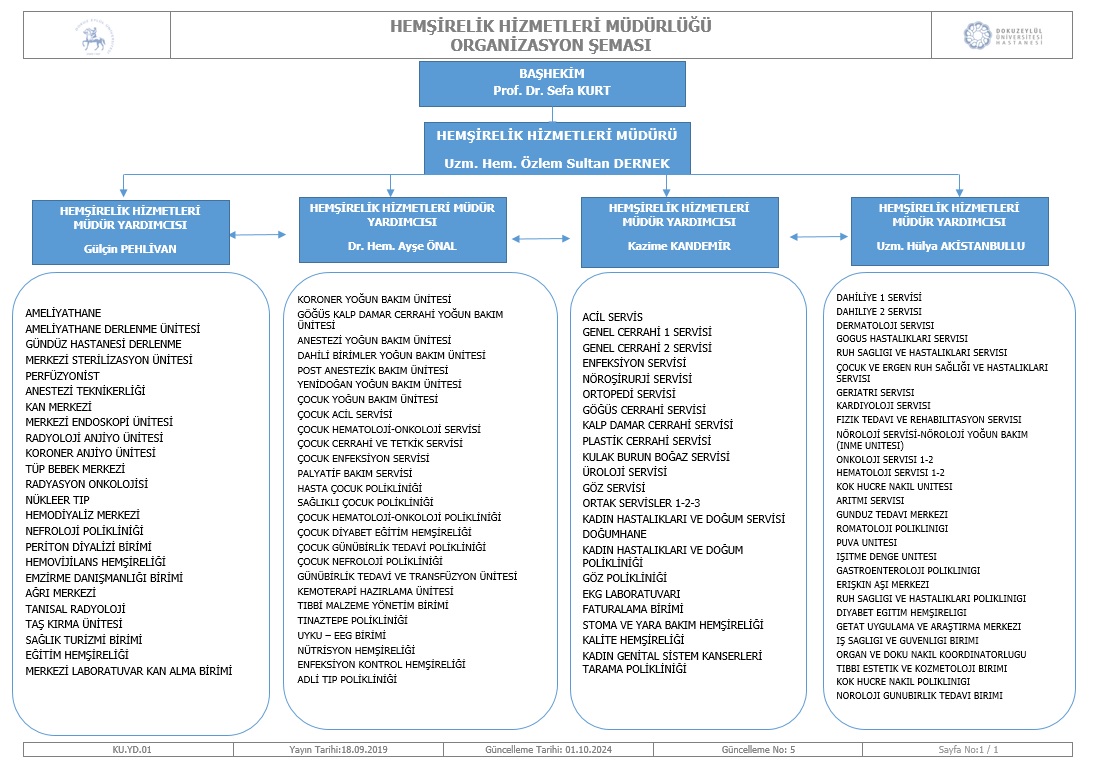 organizasyonseması1 1