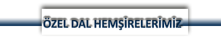 ozeldal hemsirelik