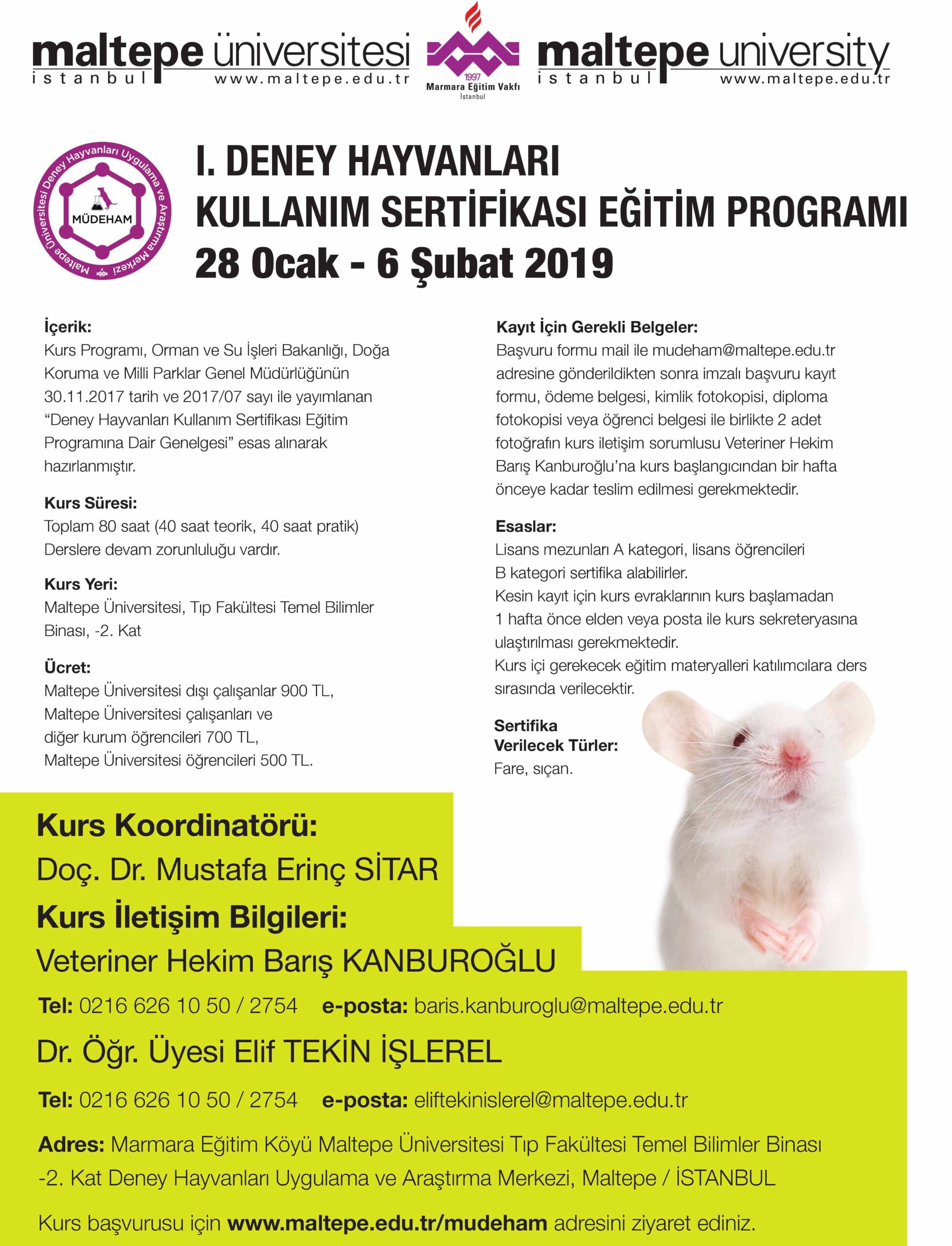 icerik2