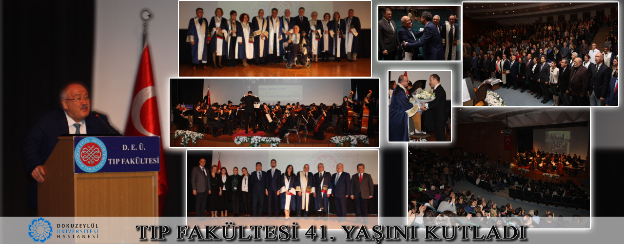 41.yil