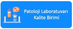 patoloji kalite birimi ikon