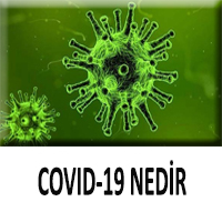 COVID 19