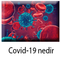covid nedir